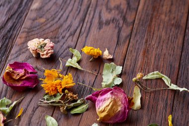 Çeşitli yaprakları izole ahşap arka plan, üstten görünüm, yakın çekim, seçici odak kümesi