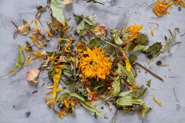 Motley çimen ışık dokulu arka plan, yakın çekim, alan, seçici odak, makro sığ derinliği.