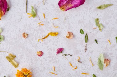 Çeşitli yaprakları izole ahşap arka plan, üstten görünüm, yakın çekim, seçici odak kümesi