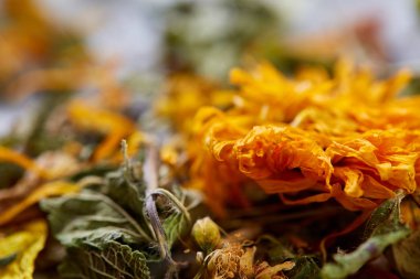 Motley çimen ışık dokulu arka plan, yakın çekim, alan, seçici odak, makro sığ derinliği.