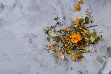 Motley çimen ışık dokulu arka plan, yakın çekim, alan, seçici odak, makro sığ derinliği.