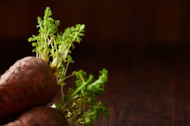 Havuç toprak rustik ahşap arka plan, yan görünüm, yakın çekim, seçici odak, düşük anahtar ile demet