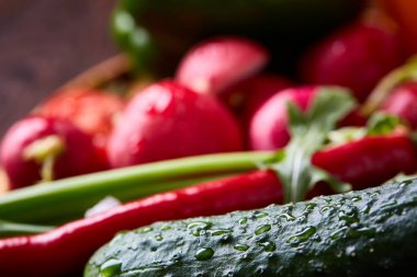 Yaratıcı taze sebze salatası ruccola, salatalık, domates ve beyaz plaka, seçici odak üzerinde raddish