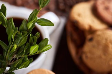 Taze kahve, ev yapımı yulaf ezmeli kurabiye, eziyet kahve bir fincan ile kahvaltı arka plan