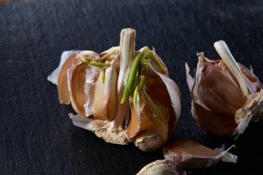 Sarımsak parçaları koyu siyah arka plan üzerine sığ derinliği alan, seçici odak, makro yakın çekim