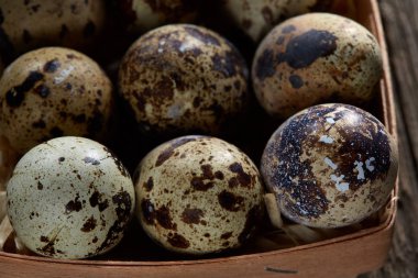 Bıldırcın yumurtası içinde bir vintage ahşap arka plan, üstten görünüm, seçici odak sille.