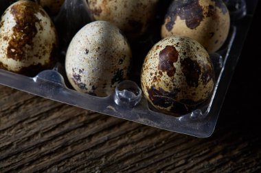 Bıldırcın yumurtası koyu ahşap arka plan, üstten görünüm, seçici odak plastik bir kap içinde