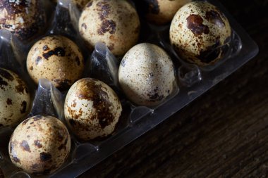 Bıldırcın yumurtası koyu ahşap arka plan, üstten görünüm, seçici odak plastik bir kap içinde