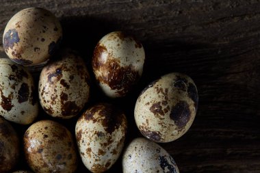 Seçici odak eski ahşap panoları, boşluk, arka plan üzerinde benekli bıldırcın yumurtası düzenlenmiş.