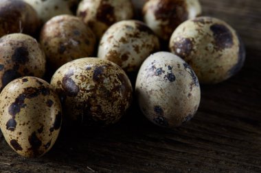 Seçici odak eski ahşap panoları, boşluk, arka plan üzerinde benekli bıldırcın yumurtası düzenlenmiş.