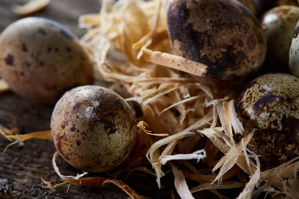 Bodegón conceptual con huevos de codorniz en nido de heno sobre fondo de madera oscura, enfoque selectivo — Foto de Stock