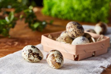 Bıldırcın yumurtası yeşil peçeteyle kutusunda bulanık doğal yaprakları arka plan, seçici odak, yakın çekim