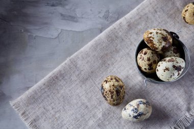 Yumurtalar bıldırcın, gri arka plan, yakın çekim, seçici odak saf bir peçeteye üzerinde yumurta ile kase