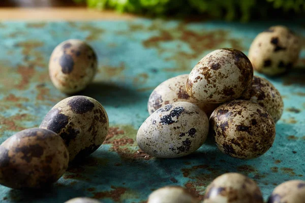 Spotted quail eggs arranged on theblue textured background, selective focus. — Stock Photo, Image