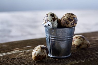 Küçük dekoratif kova bıldırcın yumurtası ahşap tahta üzerinde dolu beyaz arka plan, yakın çekim, seçici odak üzerinde.