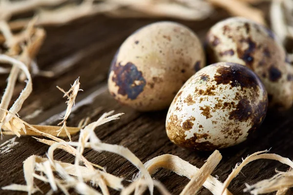 메 추리와 개념적 정 어두운 나무 배경 위에 건초 둥지에서 계란, 클로즈업, 선택적 초점 — 스톡 사진