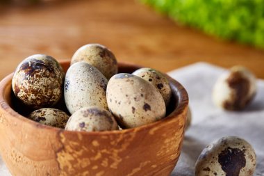 Yumurtalar bıldırcın, ahşap masa, yakın çekim, seçici odak saf bir peçeteye üzerinde yumurta ile kase