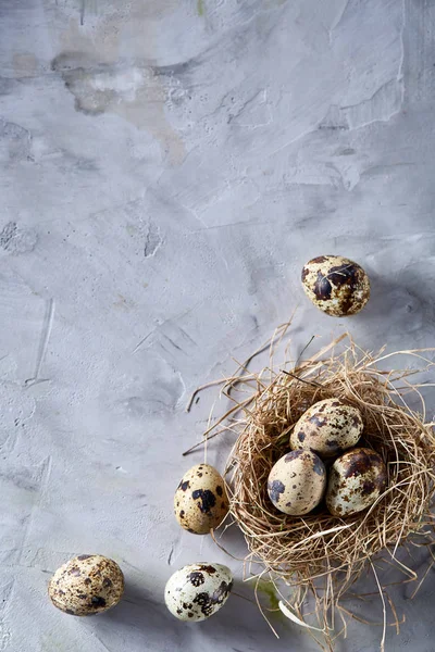 Nature morte conceptuelle avec œufs de caille dans le nid de foin sur fond gris, gros plan, mise au point sélective, verticale — Photo