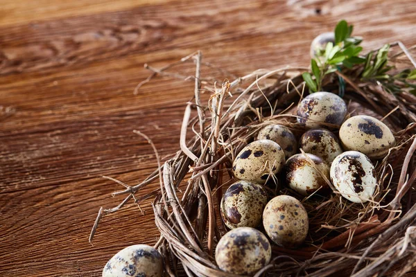 Willow hnízdo s Křepelčí vejce na tmavé dřevěné pozadí, pohled shora, detail, selektivní zaměření — Stock fotografie