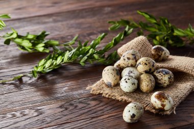 Piramit peçeteye Şimşir dalları ile düzenlenmiş bir ahşap masa, yakın çekim, seçici odak üzerinde bıldırcın yumurtası.