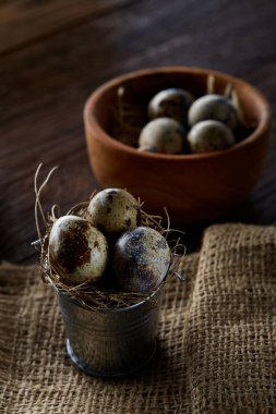 Bıldırcın yumurtası kova, kutu ve ıslak zeminde ahşap arka plan, seçici odak keten bir peçete ile rustik natürmort