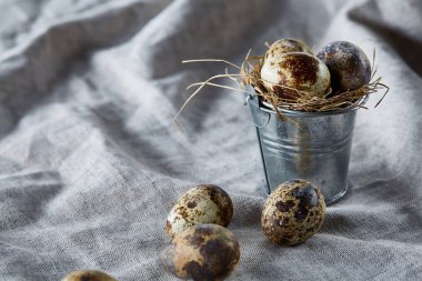 Bıldırcın yumurtası dekoratif bir kova ve bazı yumurta bir saf masa örtüsü, üstten görünüm, yakın çekim