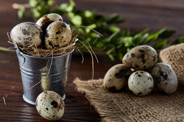 Composición de primavera de huevos de codorniz en cubo en una servilleta de lino y rama de boj, enfoque selectivo — Foto de Stock