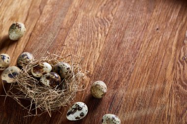 Seçici odak, yakın, kavramsal natürmort bıldırcın ile saman yuvada koyu ahşap arka plan üzerinde yumurta.