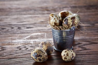 Küçük dekoratif kova dolu Bıldırcın yumurta koyu ahşap masa, yakın çekim, seçici odak ile.