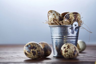 Küçük dekoratif kova dolu Bıldırcın yumurta koyu ahşap masa, yakın çekim, seçici odak ile.