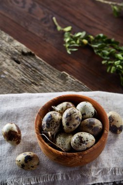 Bıldırcın yumurta, yumurta saf peçeteye, Şimşir ahşap arka plan, yakın çekim, seçici odak ile kase