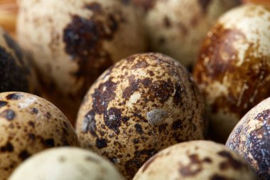 Bıldırcın yumurtası içinde bir rustik ahşap arka plan, üstten görünüm, seçici odak sille.