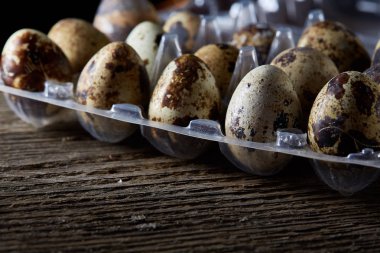 Bıldırcın yumurtası koyu ahşap arka plan, üstten görünüm, seçici odak plastik bir kap içinde