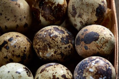 Bıldırcın yumurtası içinde bir vintage ahşap arka plan, üstten görünüm, seçici odak sille.