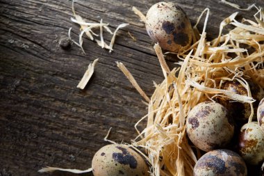 Seçici odak, yakın, kavramsal natürmort bıldırcın ile saman yuvada koyu ahşap arka plan üzerinde yumurta.