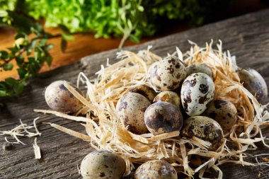 Bıldırcın yumurtası yeşil ile eski kahverengi ahşap yüzeyde bulanık doğal yaprakları arka plan, seçici odak, yakın çekim