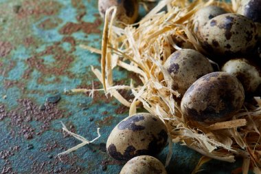 Seçici odak, yakın, kavramsal natürmort bıldırcın ile saman yuvada mavi dokulu arka plan üzerinde yumurta.