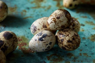 Spotted quail eggs arranged on theblue textured background, selective focus. clipart