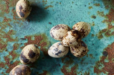 Spotted quail eggs arranged on theblue textured background, selective focus. clipart