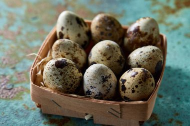 Bıldırcın yumurtası içinde bir mavi dokulu arka plan, üstten görünüm, seçici odak sille.