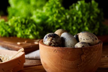 Bıldırcın yumurtası, üstten görünüm, yakın çekim, seçici odak ile sağlıklı salata yapmak için hazırlık