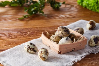 Bıldırcın yumurtası yeşil peçeteyle kutusunda bulanık doğal yaprakları arka plan, seçici odak, yakın çekim