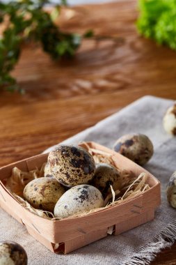 Bıldırcın yumurtası yeşil peçeteyle kutusunda bulanık doğal yaprakları arka plan, seçici odak, yakın çekim