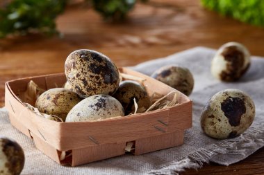 Bıldırcın yumurtası yeşil peçeteyle kutusunda bulanık doğal yaprakları arka plan, seçici odak, yakın çekim