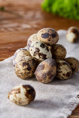 Piramit peçeteye düzenlenen bir ahşap masa, yakın çekim, seçici odak üzerinde bıldırcın yumurtası.