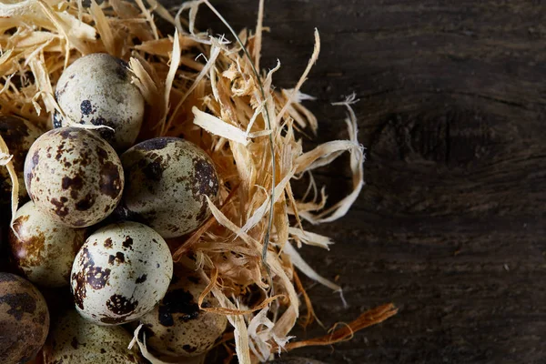 Bodegón conceptual con huevos de codorniz en nido de heno sobre fondo de madera oscura, enfoque selectivo — Foto de Stock