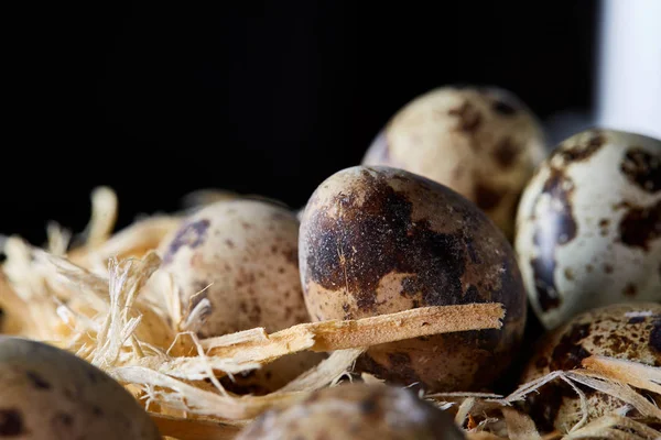 Fogalmi csendélet fürj tojás széna a fészekben, sötét fából készült háttér felett, közelkép, szelektív összpontosít — Stock Fotó