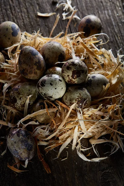 Nature morte conceptuelle avec œufs de caille dans le nid de foin sur fond de bois sombre, gros plan, mise au point sélective — Photo