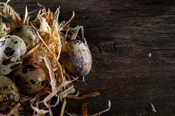 Bodegón conceptual con huevos de codorniz en nido de heno sobre fondo de madera oscura, enfoque selectivo — Foto de Stock