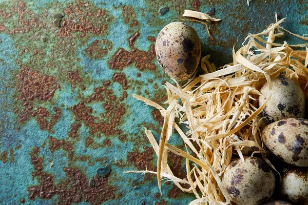 Bodegón conceptual con huevos de codorniz en el nido de heno sobre fondo azul texturizado, enfoque selectivo —  Fotos de Stock